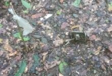 minas antipersona, Coahuayula, Chinicuila
