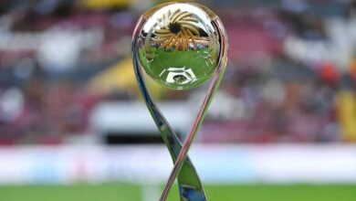 FMF y Liga de Expansión