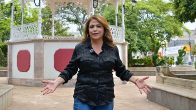 Fabiola Alanís, 4T
