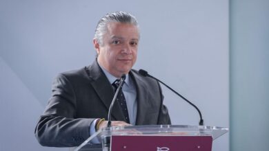 Luis Navarro, UMSNH