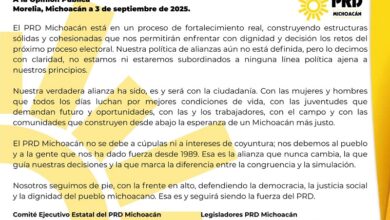 PRD Michoacán