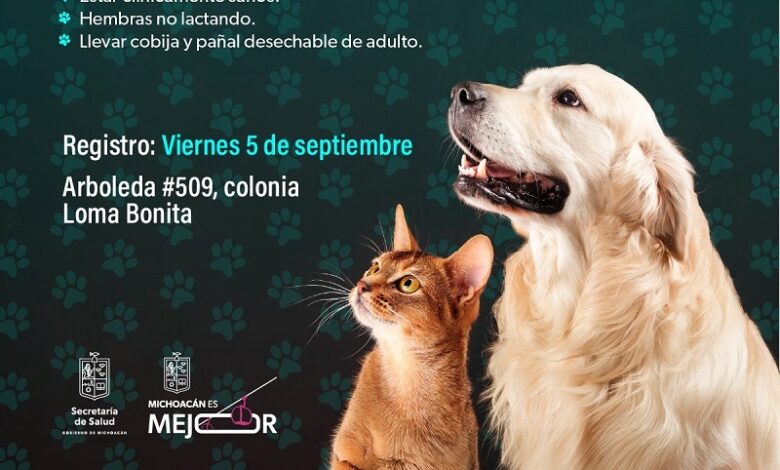 SSM Michoacán