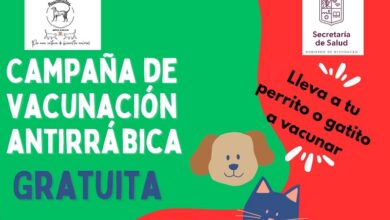 adopción, Morelia