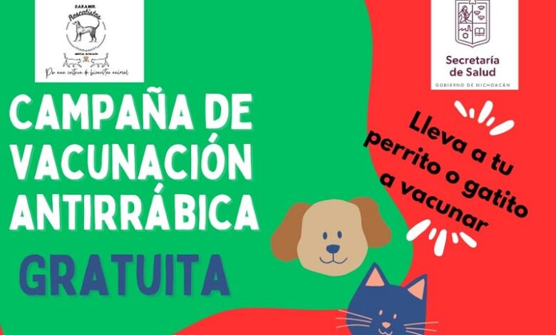 adopción, Morelia