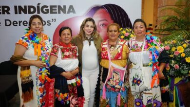 Congreso de Michoacán, Brissa Arroyo
