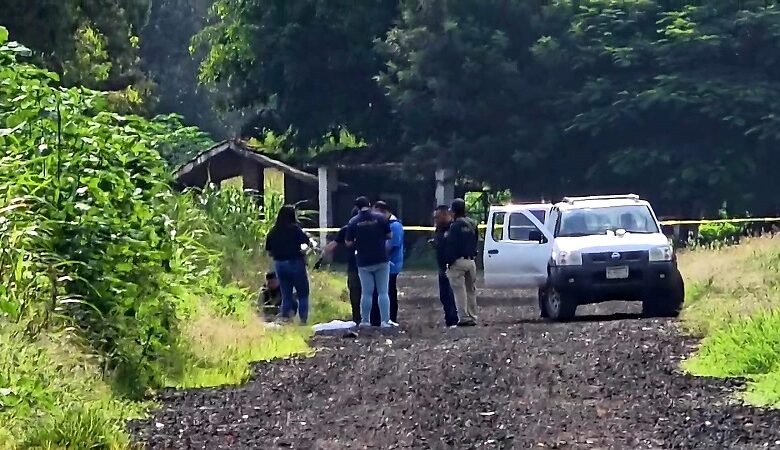 Zamora, homicidio