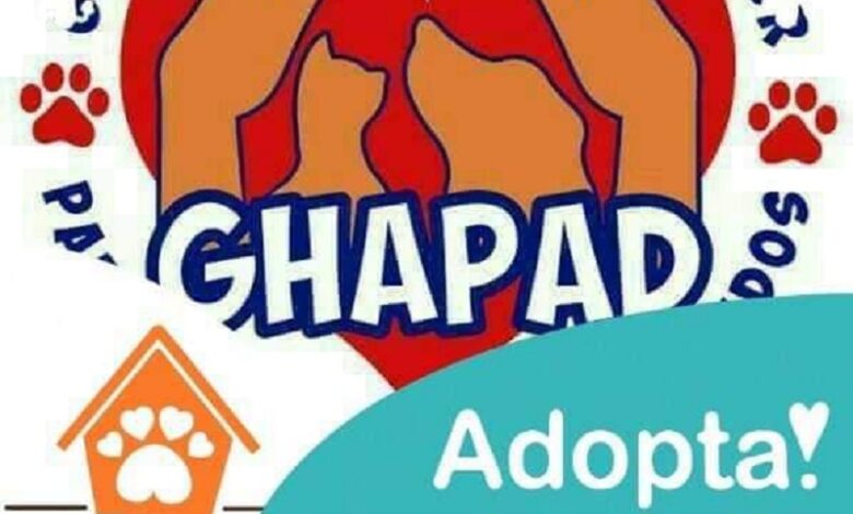 GHAPAD, pirotecnia, perros, gatos