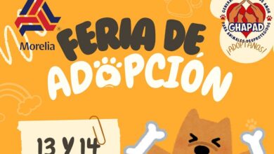 Morelia, Adopción