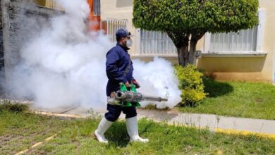 Fumigación