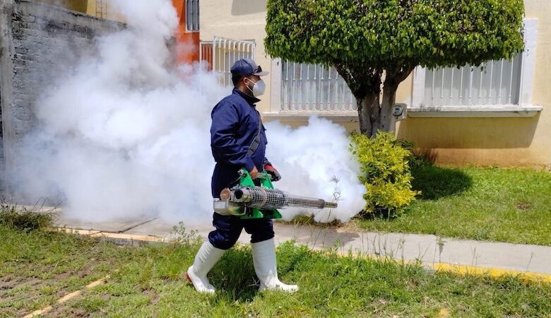 Fumigación