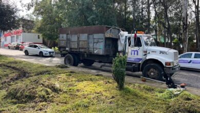 Jornada de limpieza en Morelia