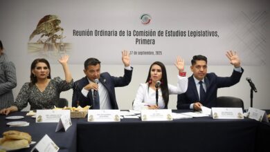 reforma legislativa, bibliotecas públicas