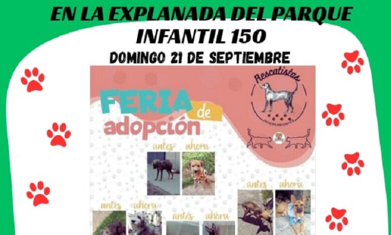 Michoacán, animales, adopción