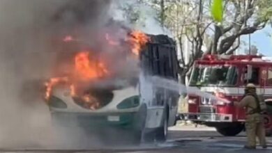 Zamora, transporte público, incendio