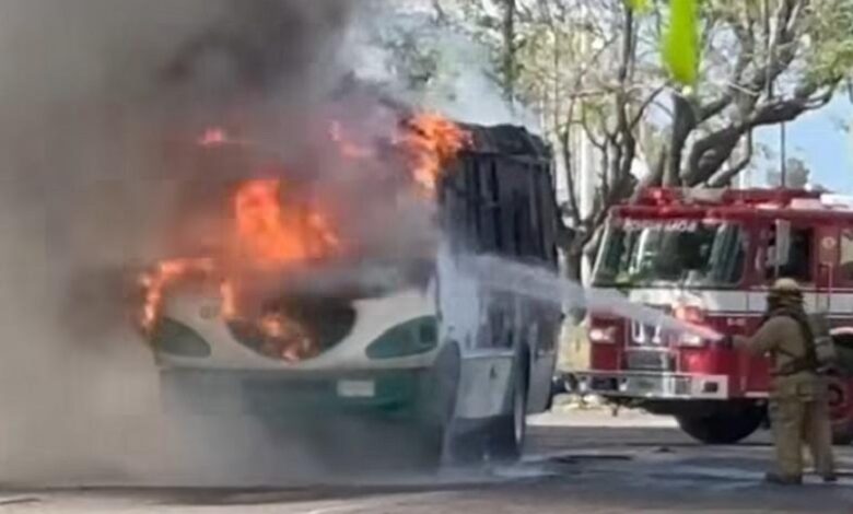Zamora, transporte público, incendio