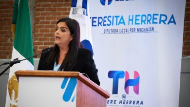 Tere Herrera, PAN