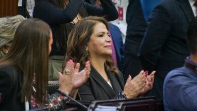 Congreso de Michoacán, Fabiola Alanís