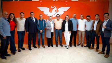 Michoacán, Movimiento Ciudadano