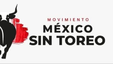 prohibición de la tauromaquia