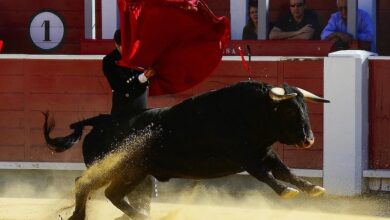 Corrida de toros