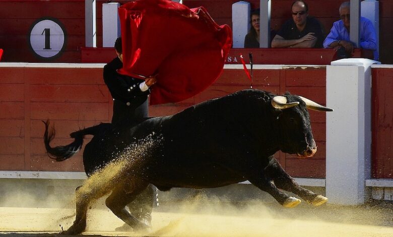 Corrida de toros