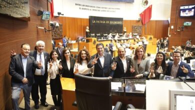 Morelia, Alfonso Martínez, Senado