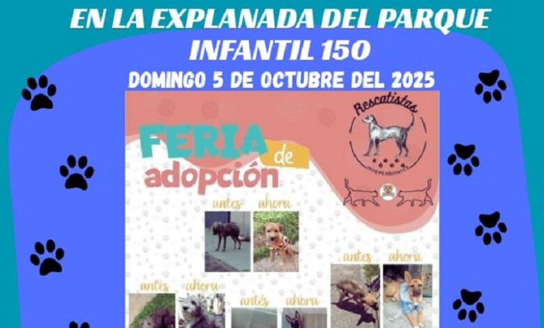 adopción, Morelia, feria
