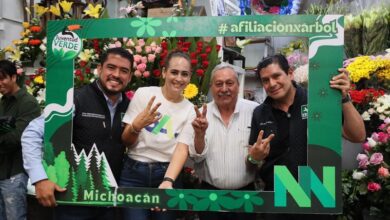 PVEM Michoacán