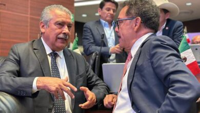 Morena, Raúl Morón, Ley de Amparo