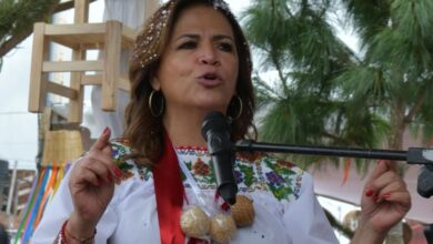 Fabiola Alanís, Morena