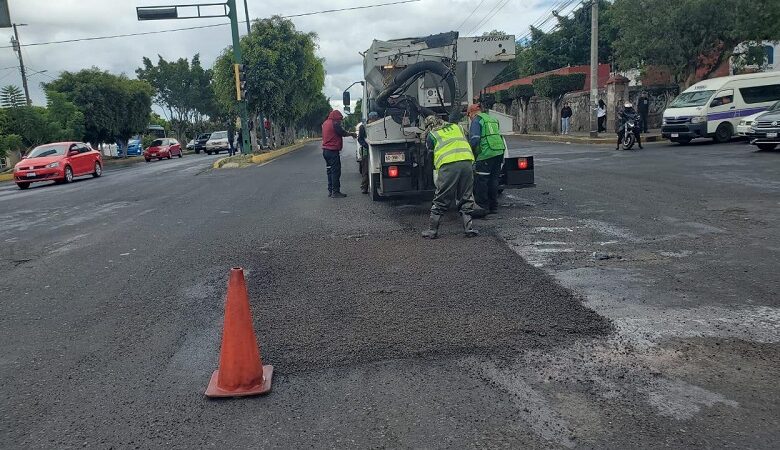 Morelia