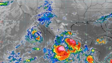 tormenta tropical, Priscilla