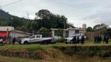 Policías y patrullas