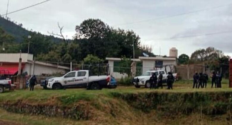Policías y patrullas