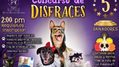 Rescate animal, concurso de disfraces