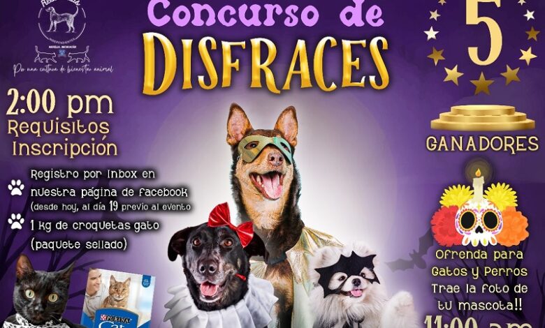 Rescate animal, concurso de disfraces