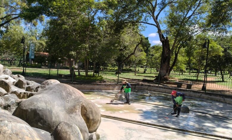 Morelia