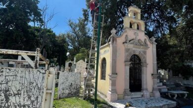 Alfonso Martínez, Día de Muertos