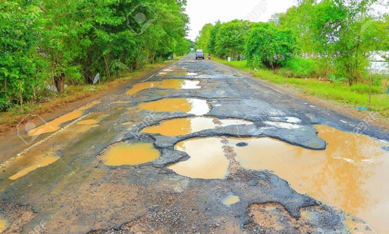 Baches