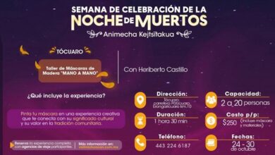 Noche de Muertos, Sectur