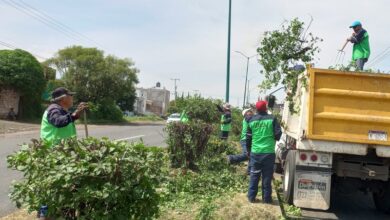 Servicios Públicos, limpieza, Morelia