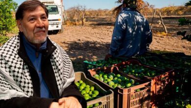 Noroña viajará a Palestina