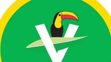 PVEM