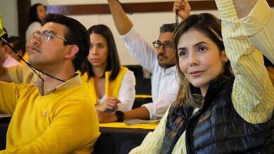 Brissa Arroyo en Asamblea Estatal del PRD