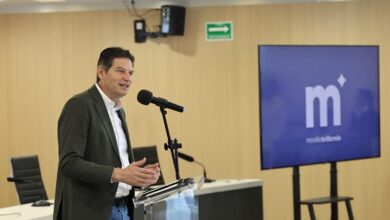 Alfonso Martínez, educación