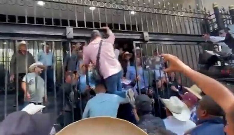 Campo, protesta, productores