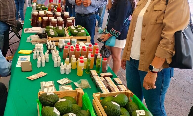Expo Agro Morelia 2025