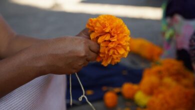 Día de Muertos, Morelia