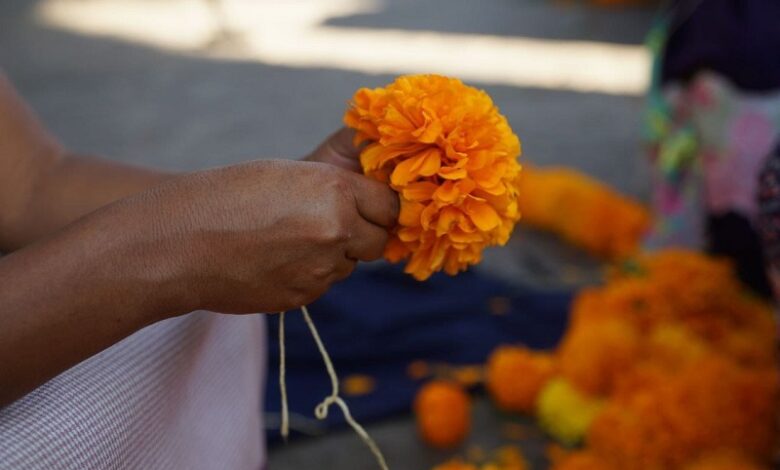 Día de Muertos, Morelia