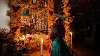 Noche de Muertos, Sectur